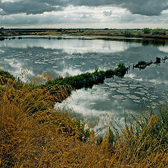 photo "RIVER TAGUS ESTUARY"