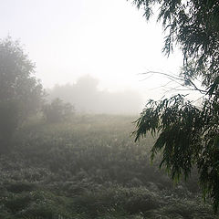 фото "Утренний туман..."