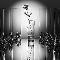 фото "like a virgin"