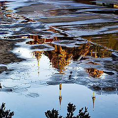 фото "After rain"