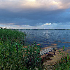 фото "Вечерняя"