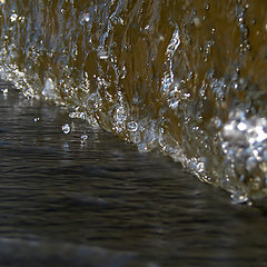 фото "water"