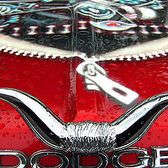 фото "DODGE by rain"