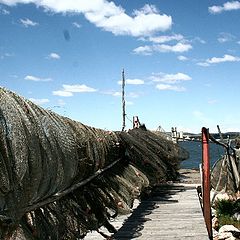 фото "webs and sea"