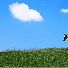 фото "Облака, белогривая лошадка"