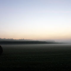 фото "Утренний туман"