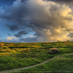 photo "at the edge of the village"