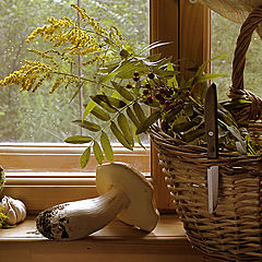 photo "Basket on the window-sill"