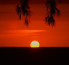 photo "Dive into the night"