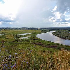 фото "приближается гроза"