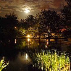 фото "Japanese garden 1"