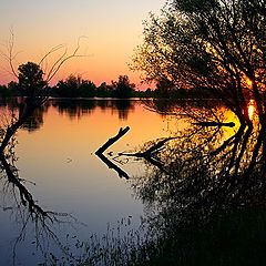 фото "Разлив"