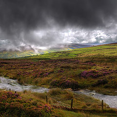 фото "The Heath"