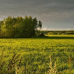 фото "После грозы"