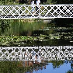 фото "The bridge."