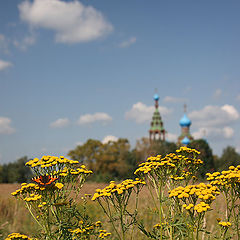 фото "Август"