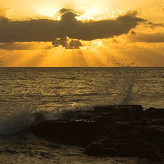 фото "El Golfo"