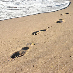 photo "Footsteps in the sand"