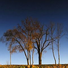 photo "***"