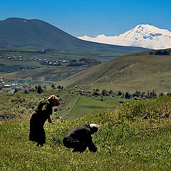 photo "Killing  near Ararat"