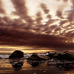 фото "Dream IV"
