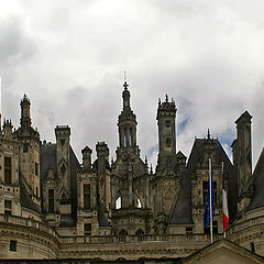 photo "Roofs and chimneys Castle Shambor"