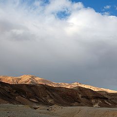 photo "On desert"