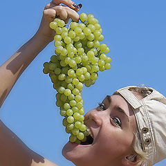 фото "Вкуснейший критский виноград"