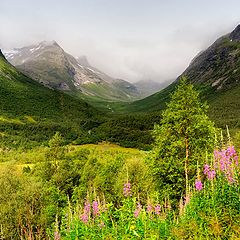 фото "Norwegian Valley"