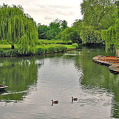 фото "Sail in a Punt"