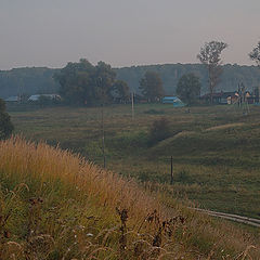 photo "***"