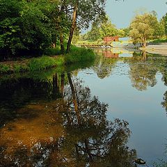 photo "The river in September"