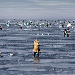 photo "Fishermen :)"