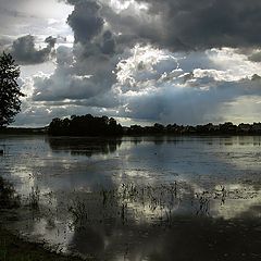 фото "Непогода нынче в моде"