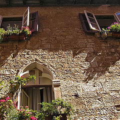 photo "The windows of Croatia"