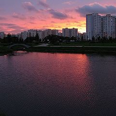 фото "Спокойной ночи, малыши!"