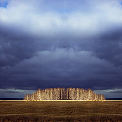 фото "октябрь"