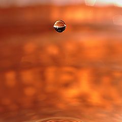 фото "Drop of water"