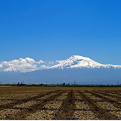 photo "Blue Ararat"