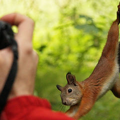 photo "supermodel"