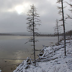 фото "Cнежный сентябрь"