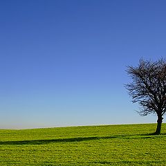 фото "Windows Vista Basic"