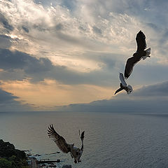 photo "aeronautical history"