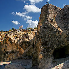 фото "Голуби"