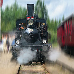 фото "The train"