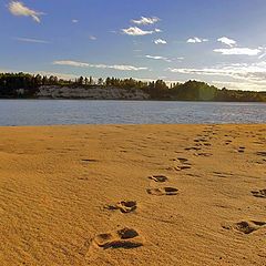 photo "Traces of a one-way"