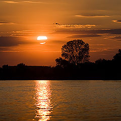 фото "Tired Danube"