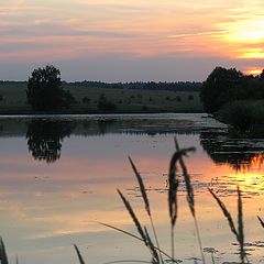 фото "Без Фотошопа"