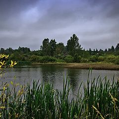 photo "Cloudy evening"