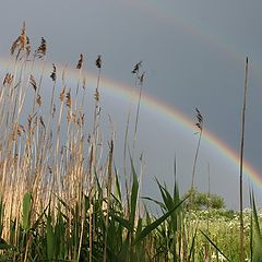 фото "rainbow"